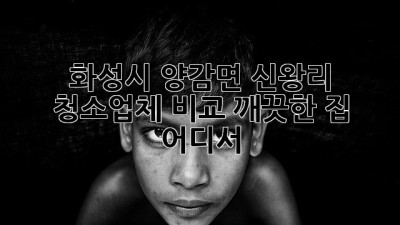 화성시 양감면 신왕리 청소업체 비교: 깨끗한 집, 어디서?