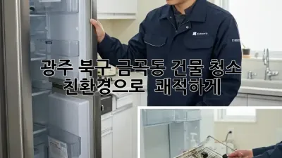 광주 북구 금곡동 건물 청소, 친환경으로 ✨ 쾌적하게!